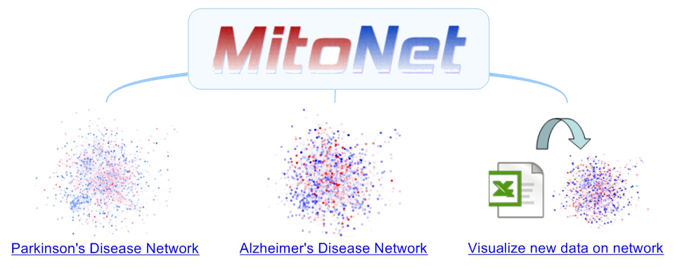 MitoNet main interface
