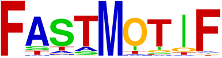 FastMotif logo